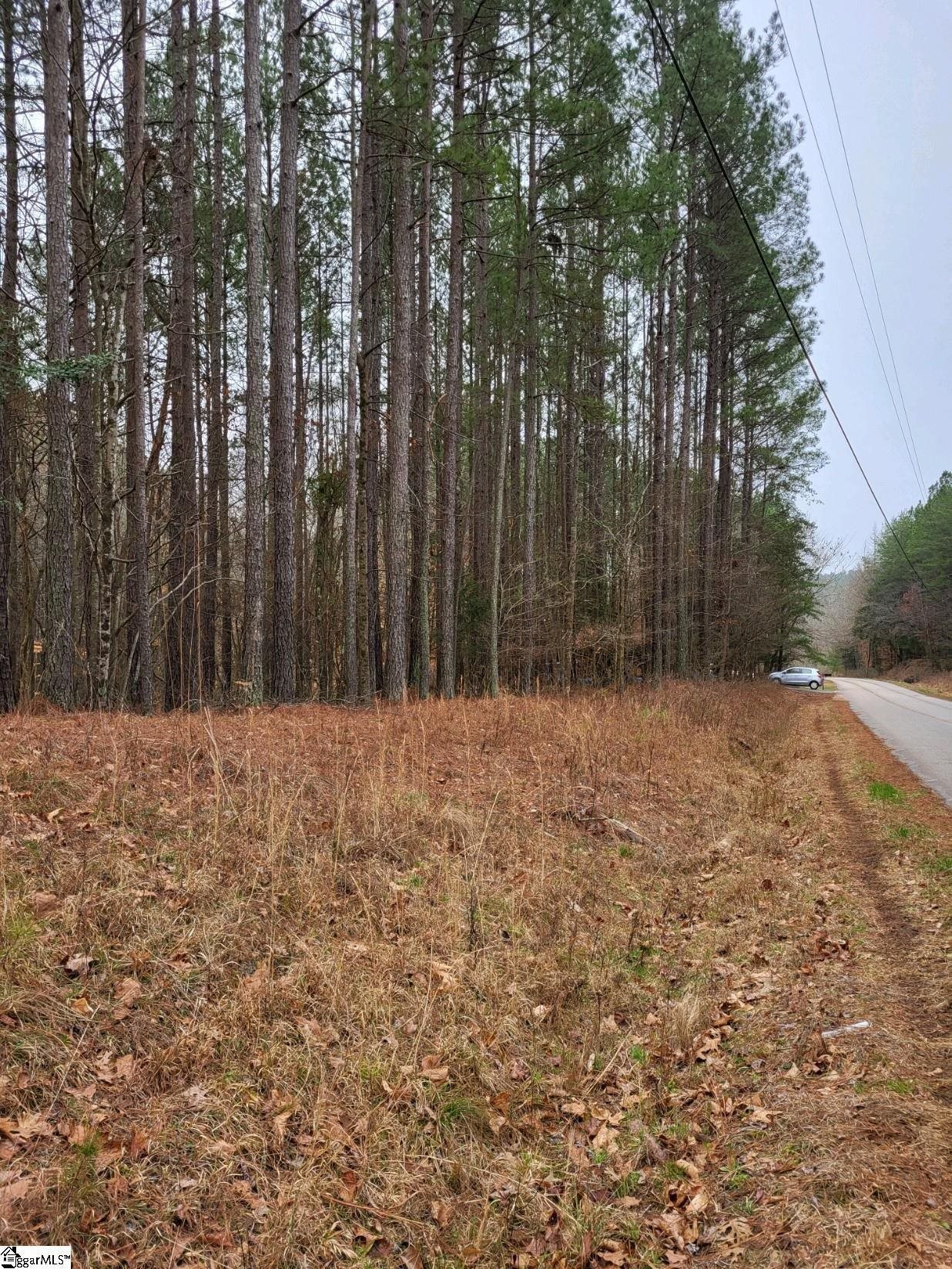 461 Cowford Bridge Road, Spartanburg, South Carolina image 4