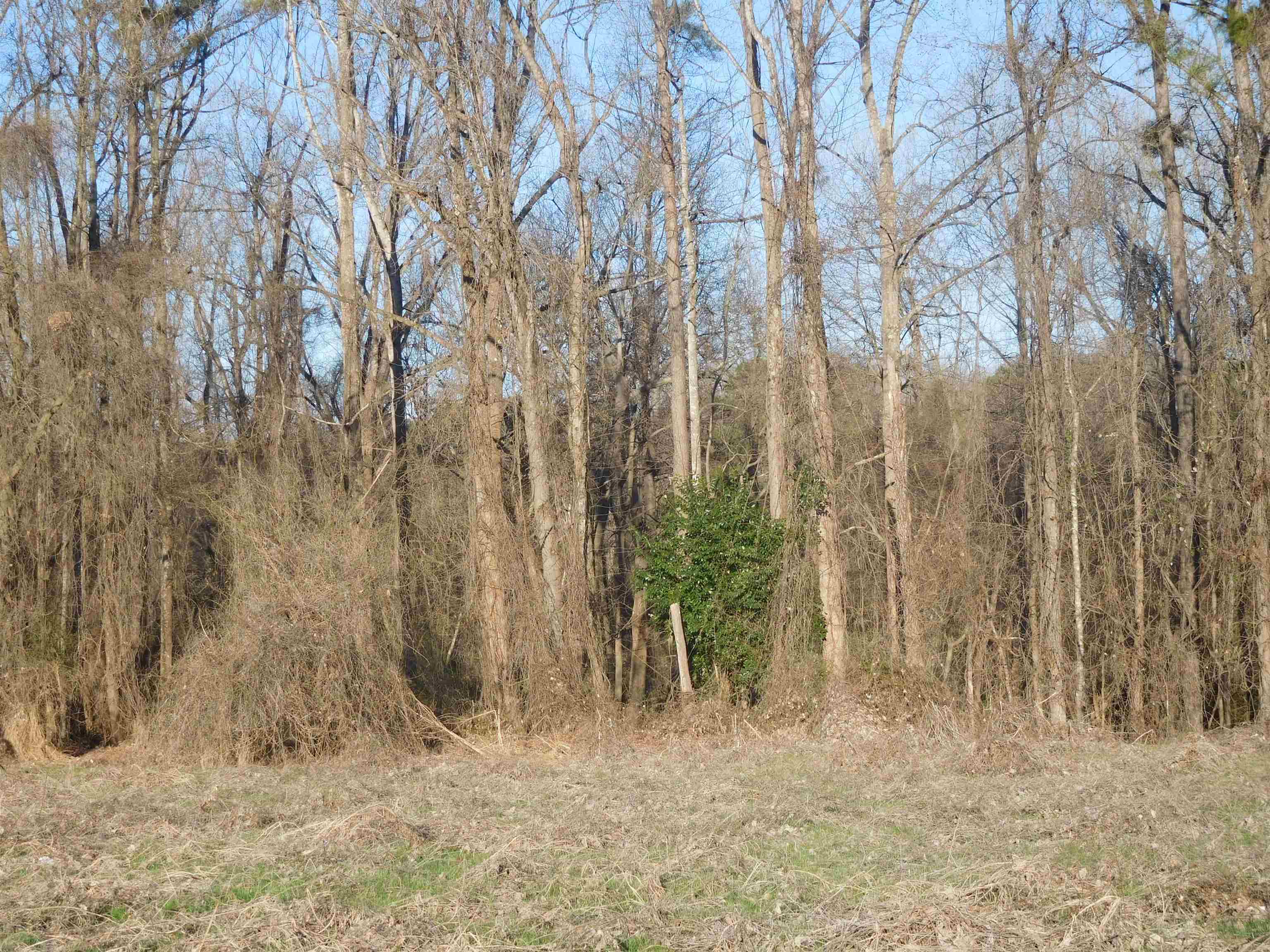 Stuard St, Gaffney, South Carolina image 5