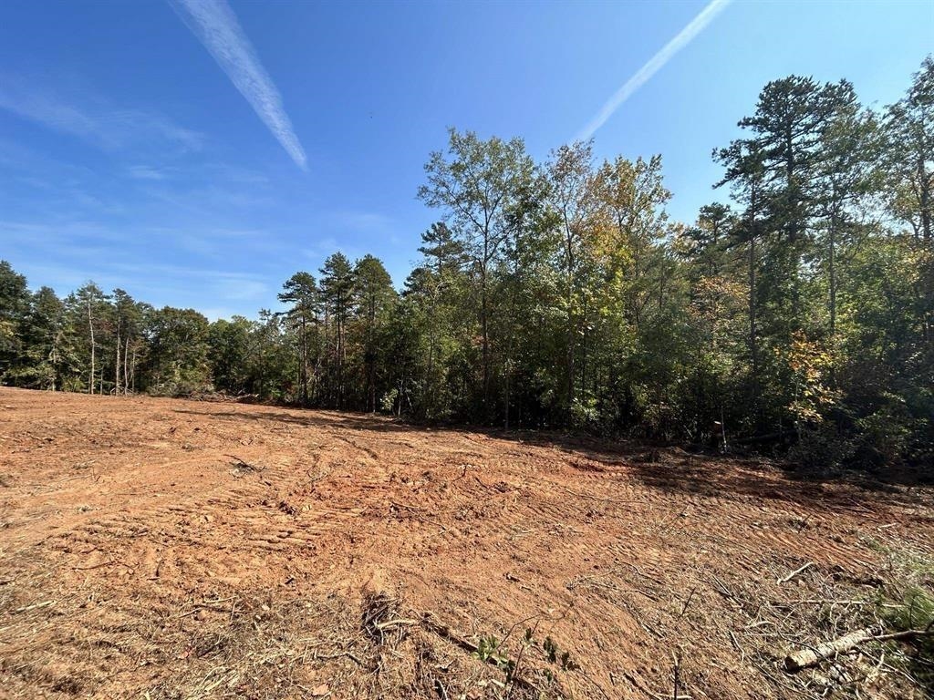 135 Clark Dr, Gaffney, South Carolina image 2