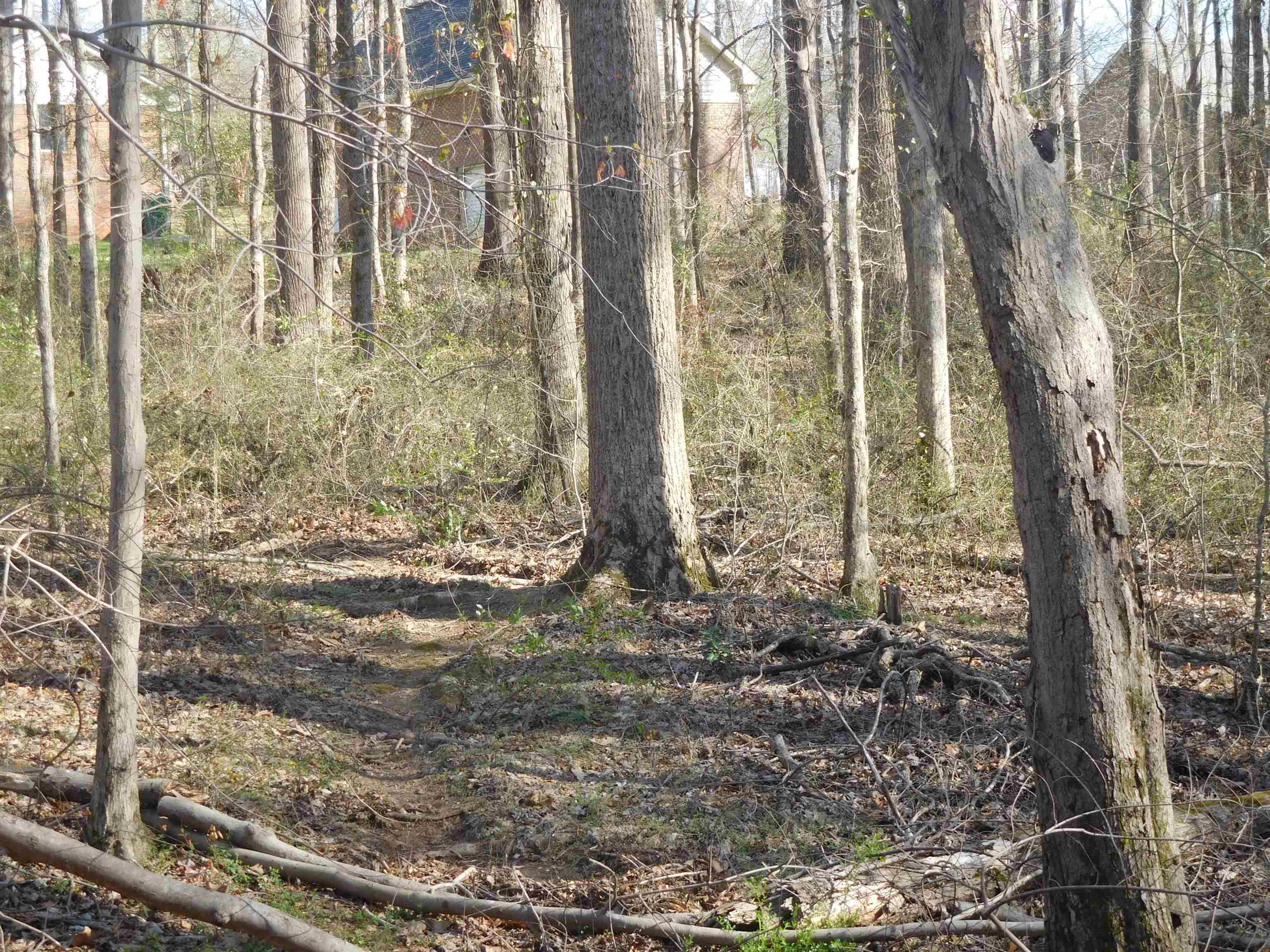 Hampton Drive, Gaffney, South Carolina image 2