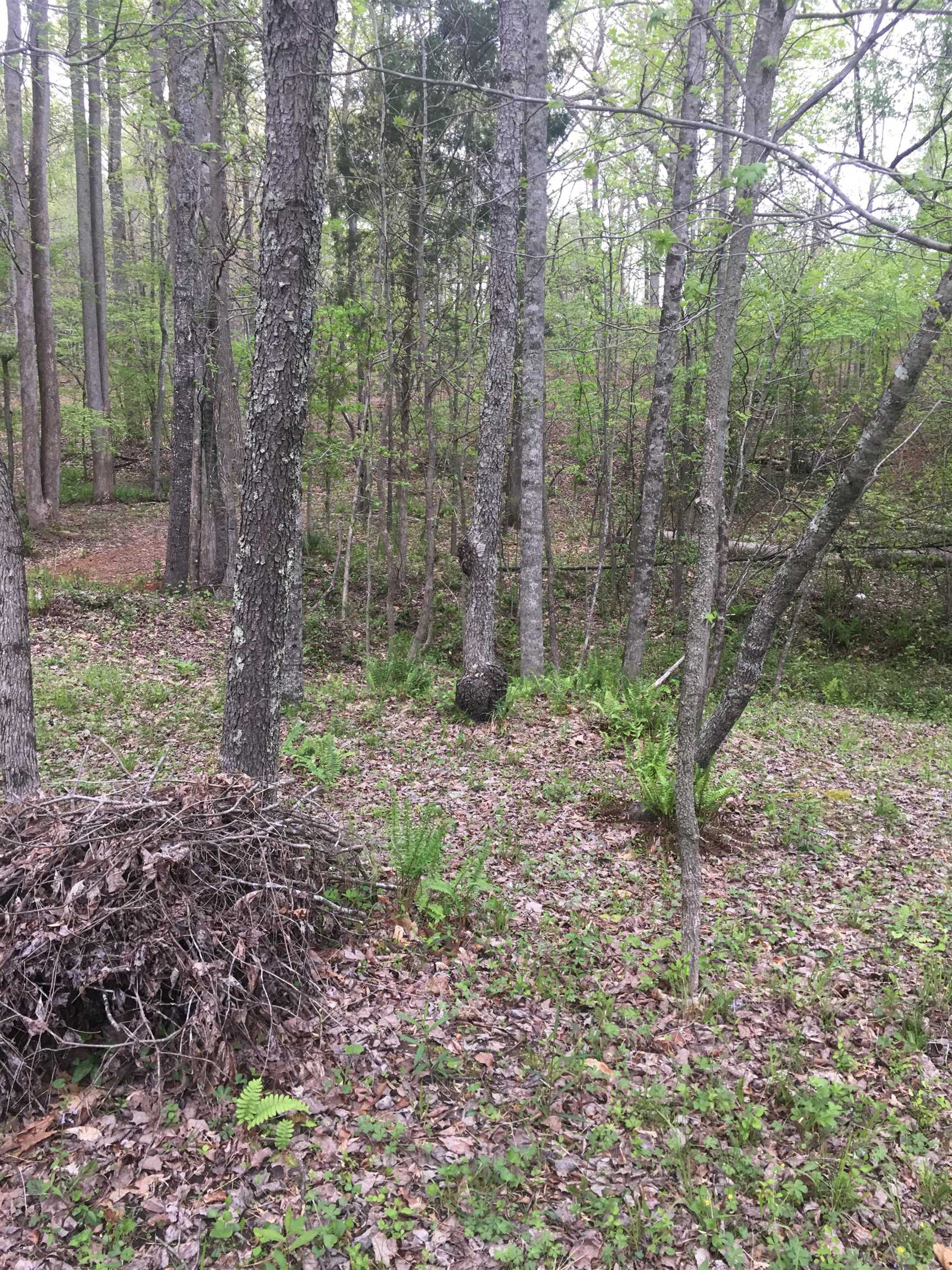 442 Green River Road, Gaffney, South Carolina image 27