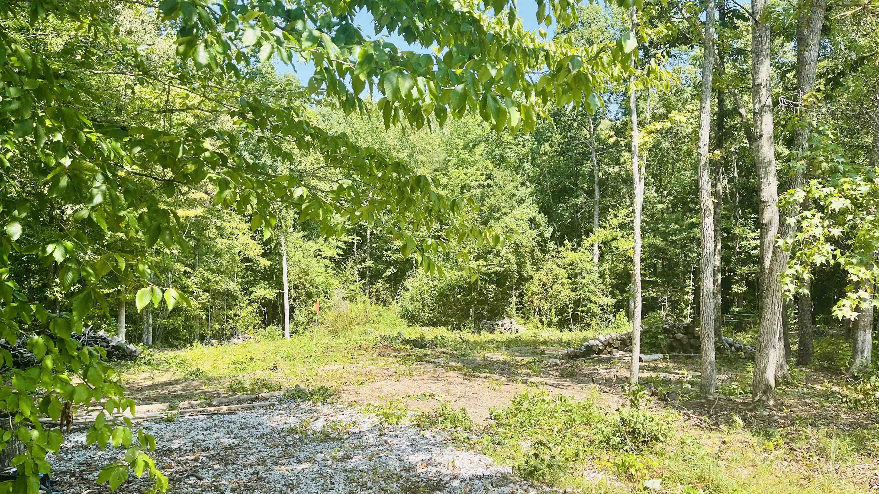 106 Thorn Ridge Lane, Pelzer, South Carolina image 5