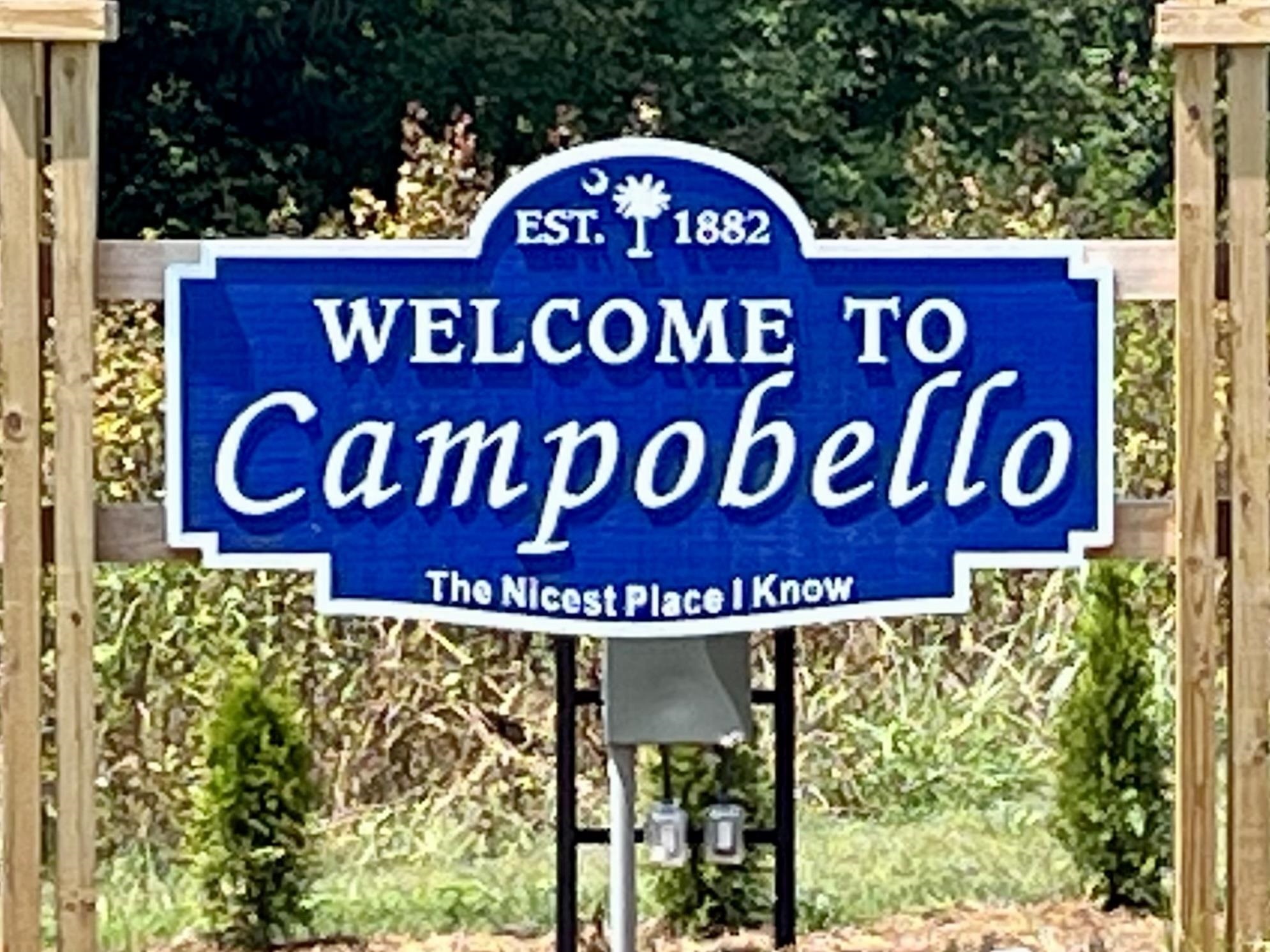 208 Barnett Road, Campobello, South Carolina image 38