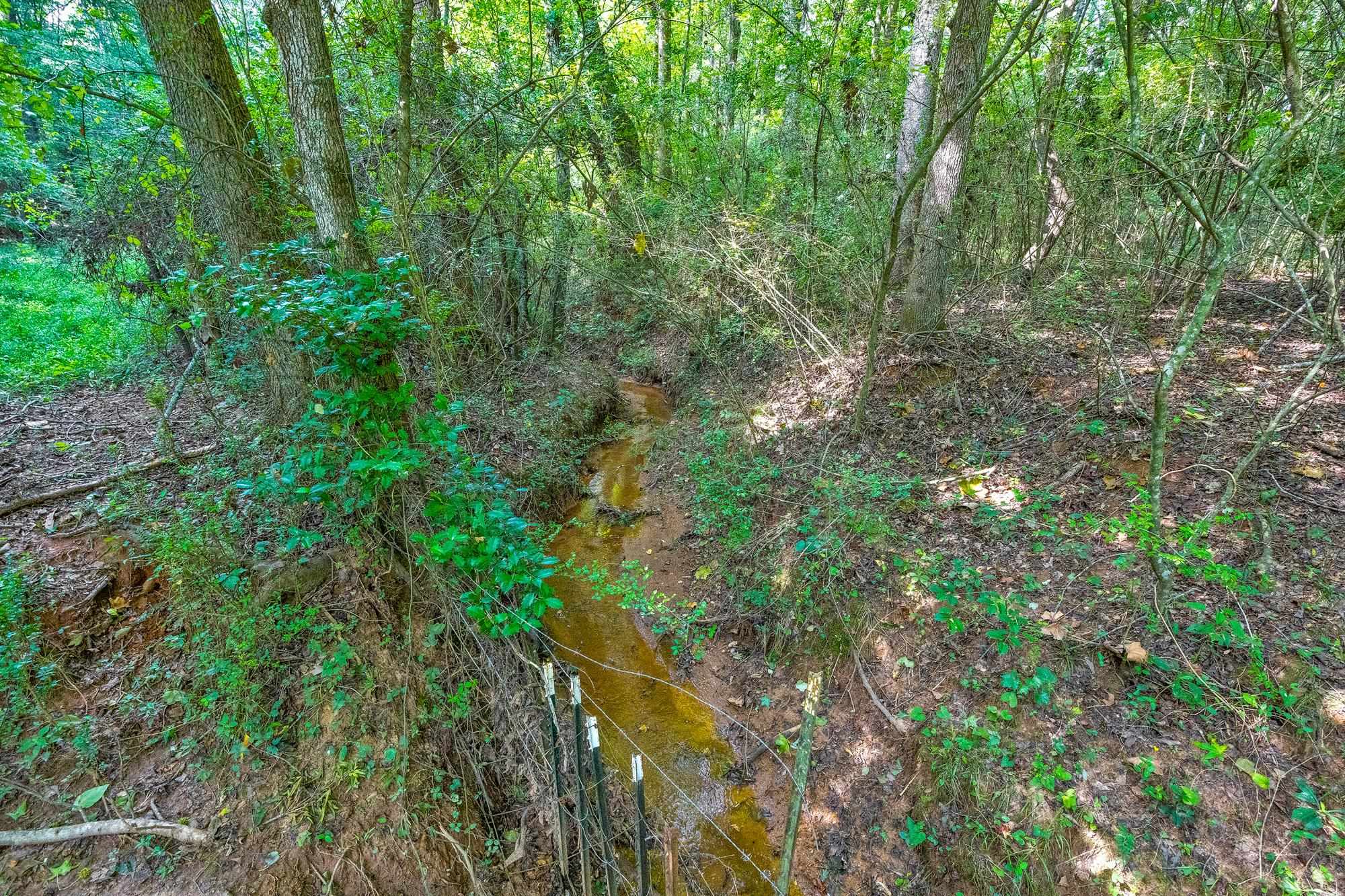 143 George Merck Road, Anderson, South Carolina image 7