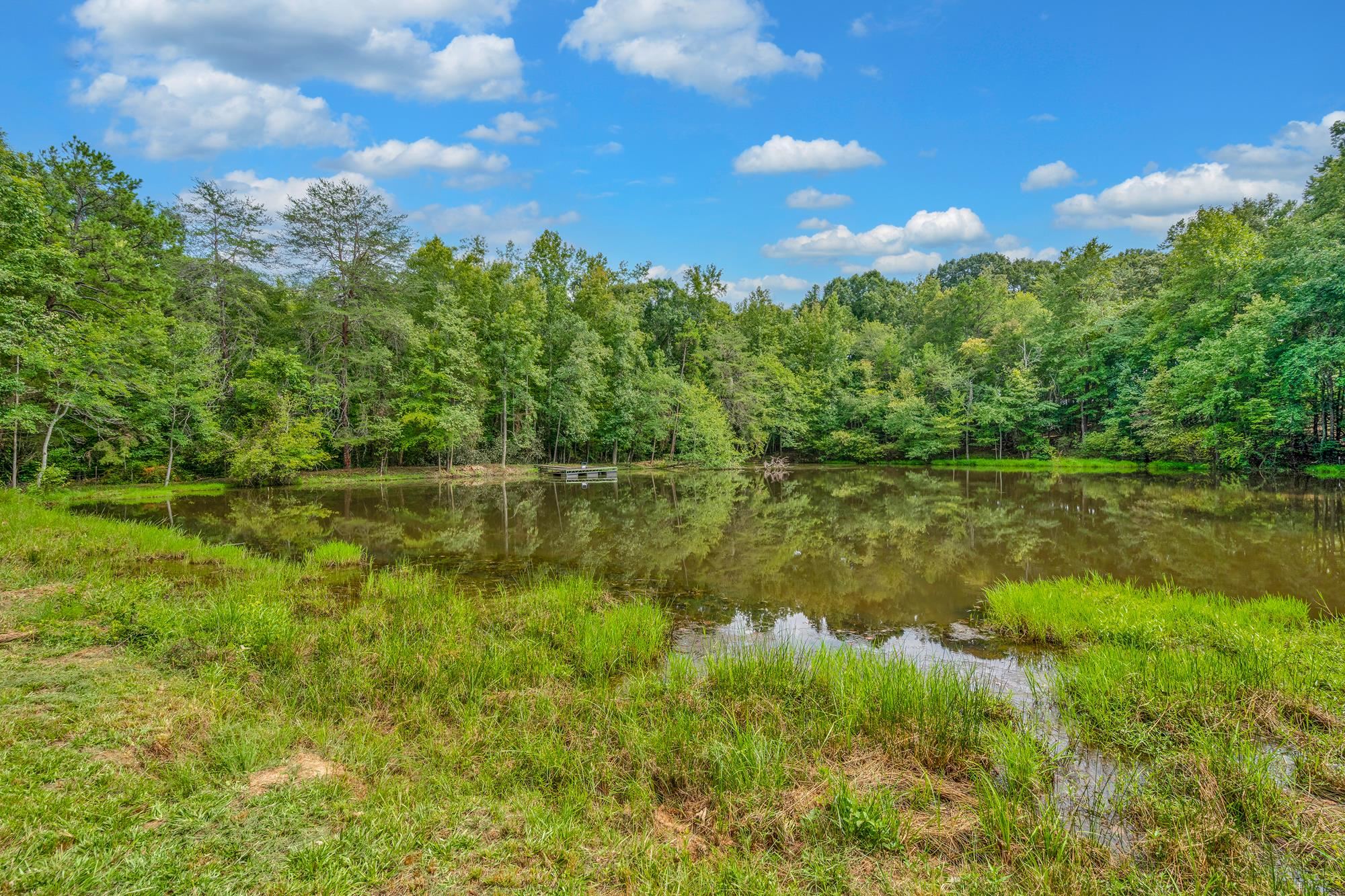 143 George Merck Road, Anderson, South Carolina image 46