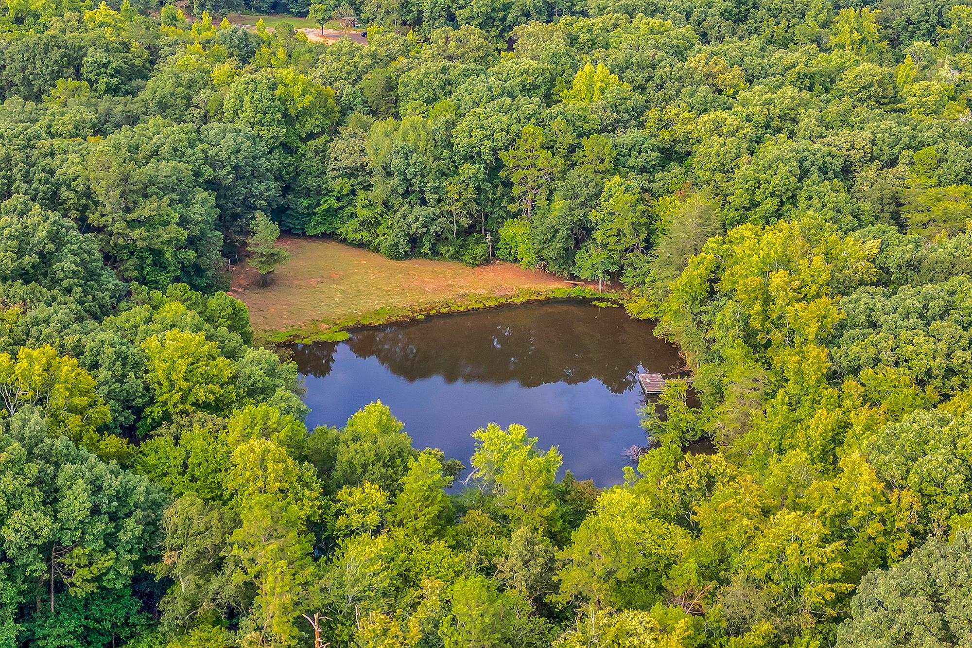 143 George Merck Road, Anderson, South Carolina image 35