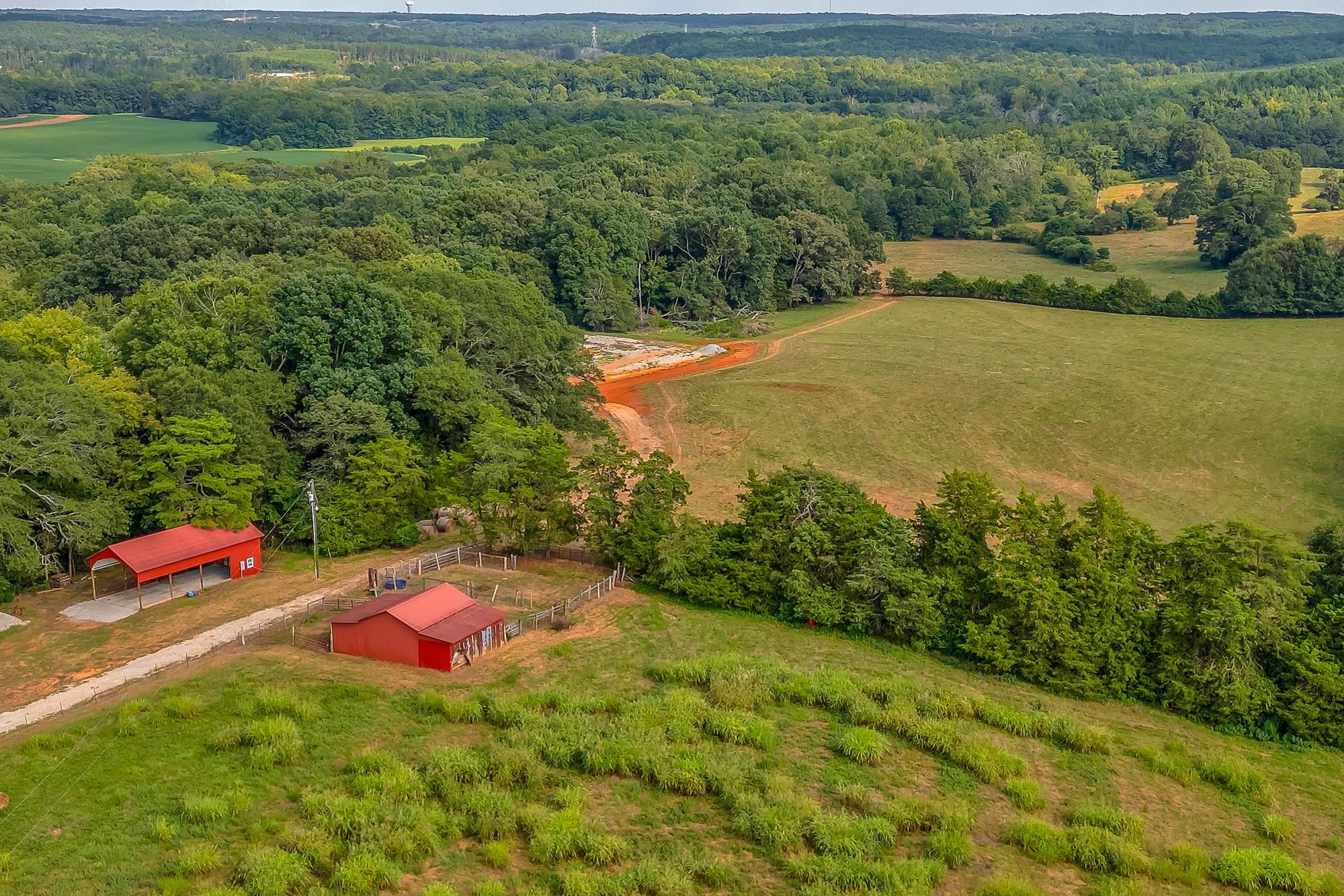 143 George Merck Road, Anderson, South Carolina image 34