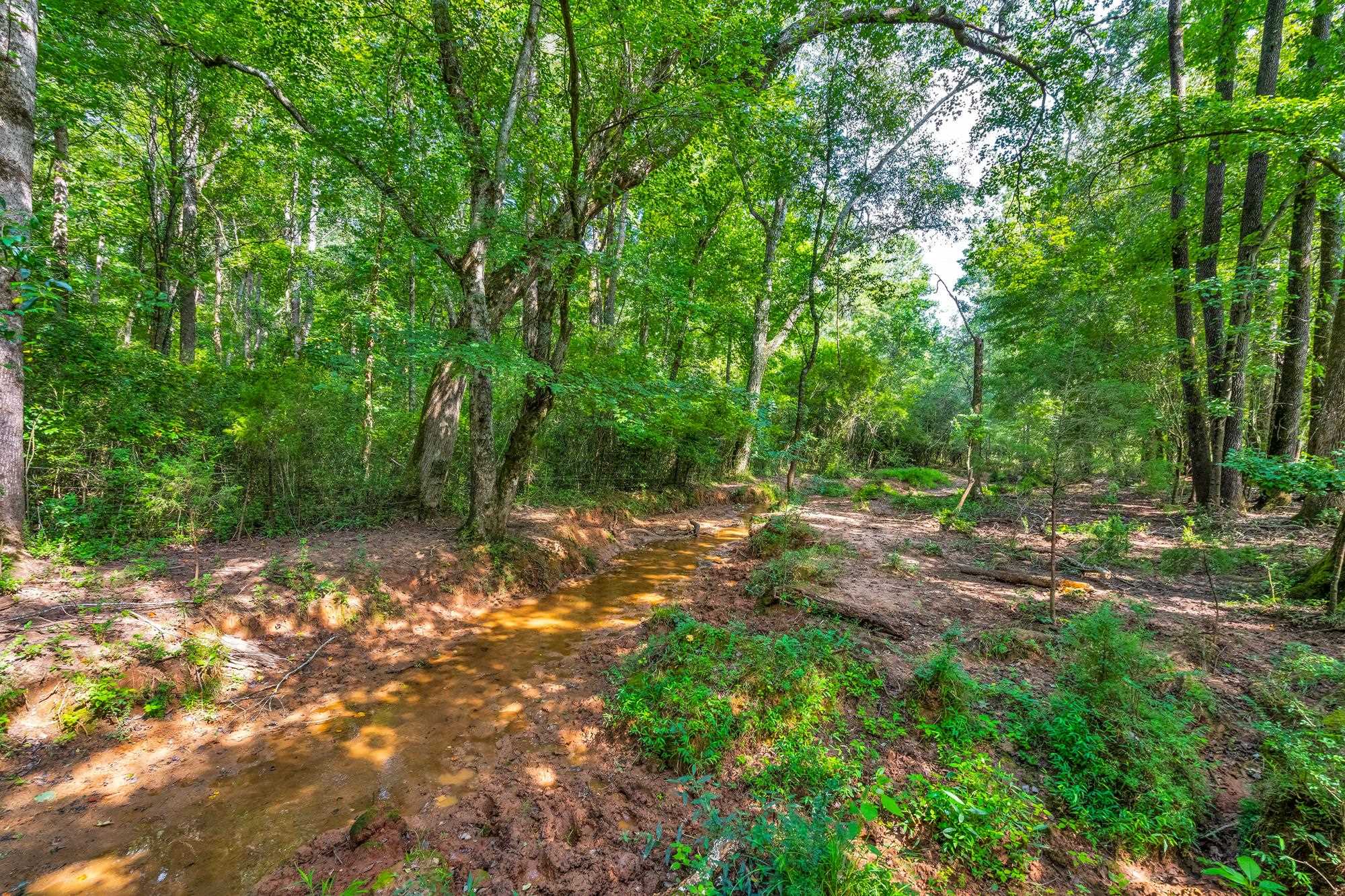 143 George Merck Road, Anderson, South Carolina image 9