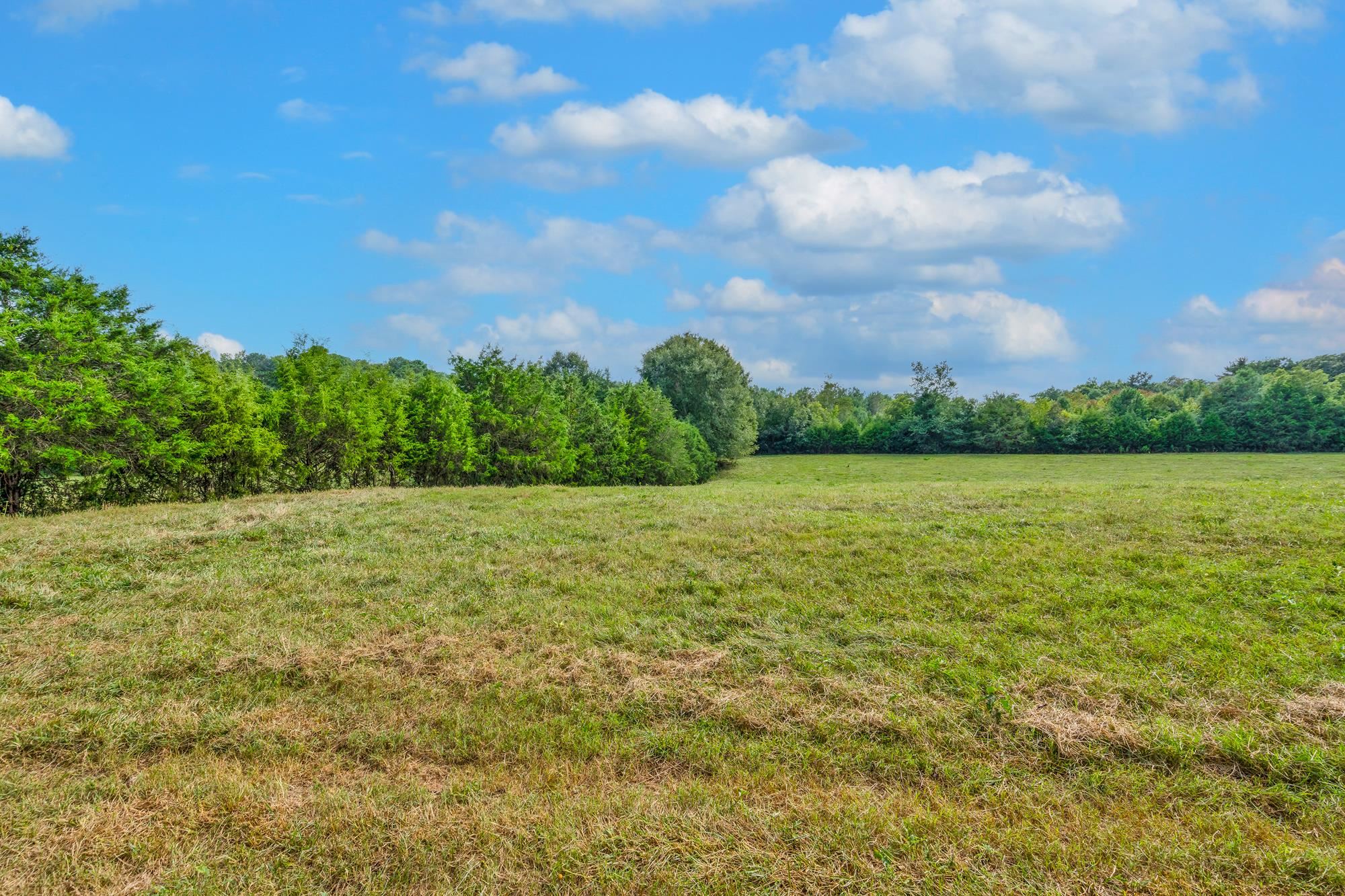 143 George Merck Road, Anderson, South Carolina image 18