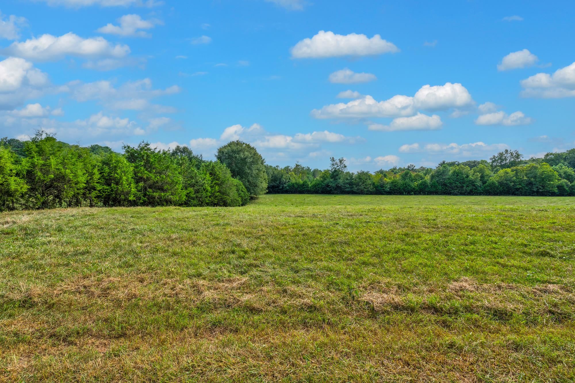 143 George Merck Road, Anderson, South Carolina image 17
