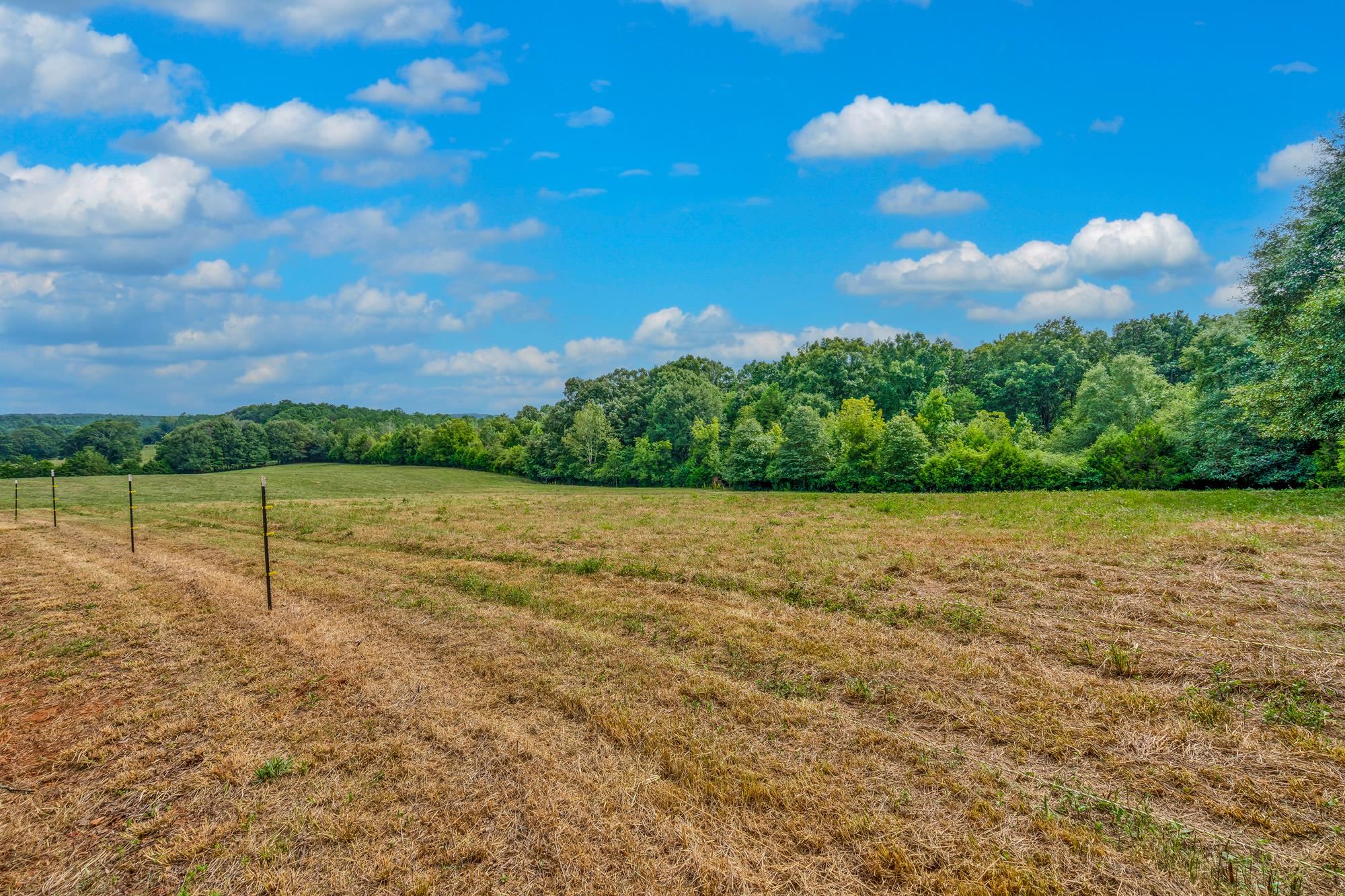 143 George Merck Road, Anderson, South Carolina image 2