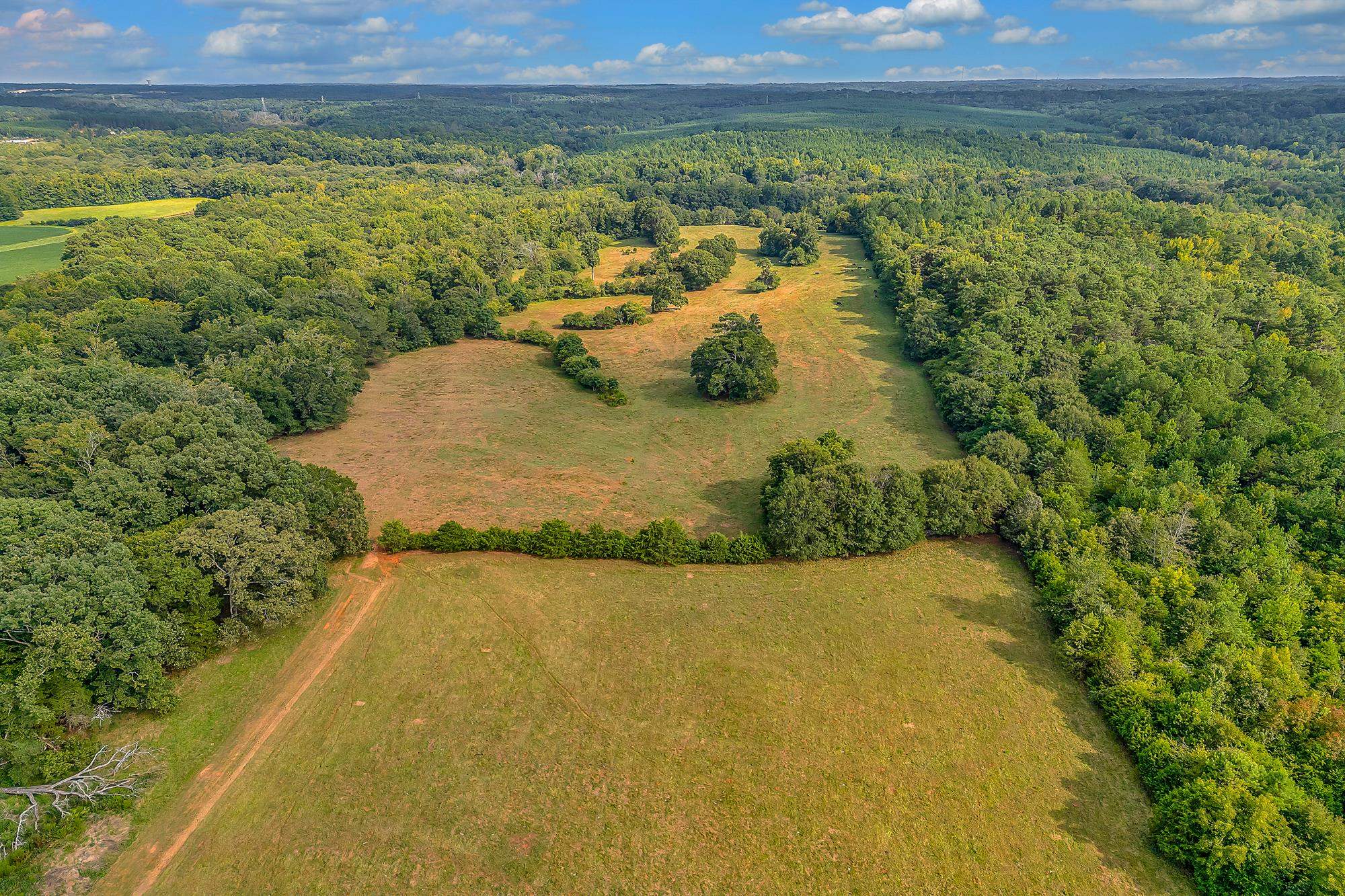 143 George Merck Road, Anderson, South Carolina image 30