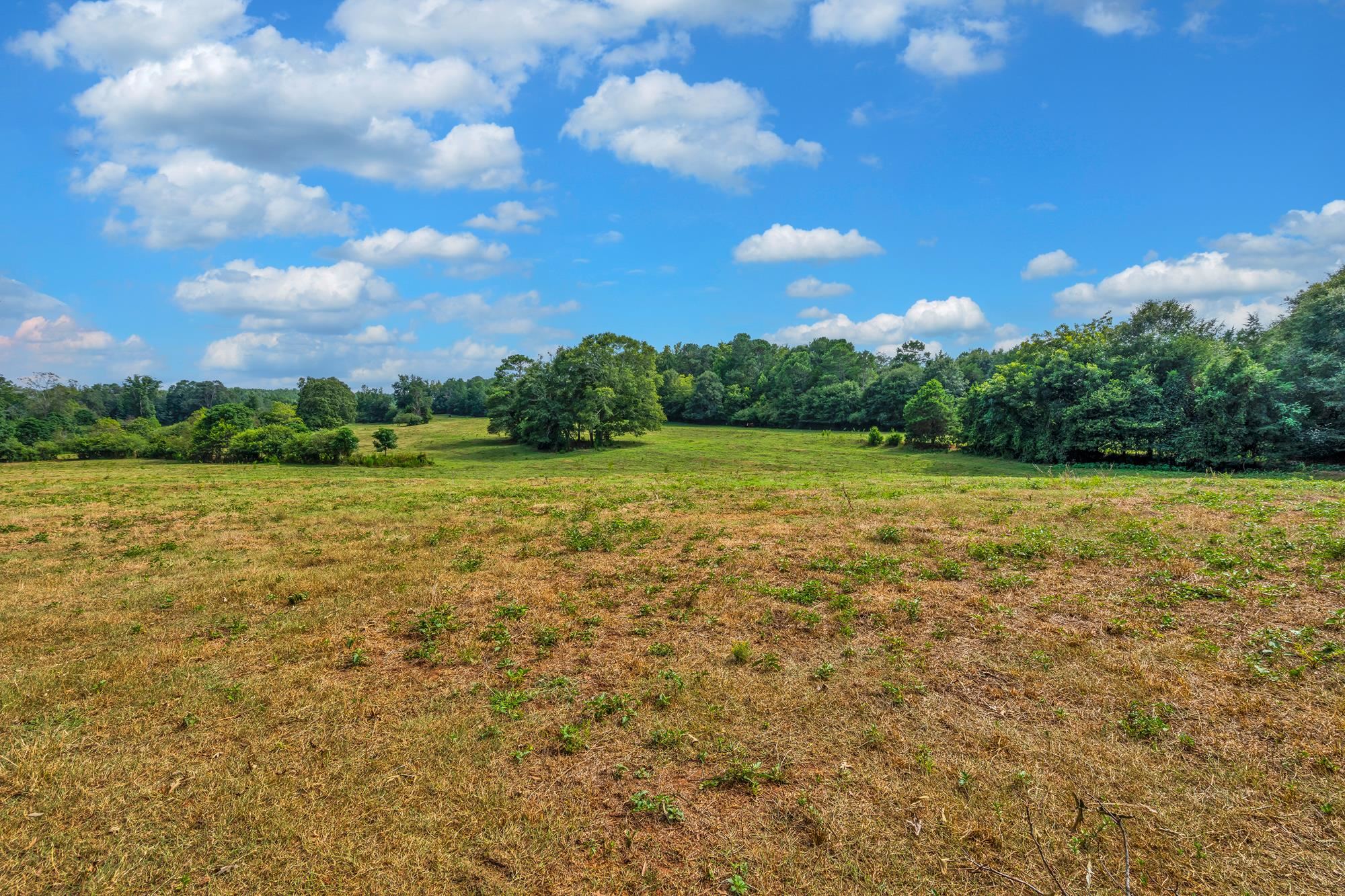 143 George Merck Road, Anderson, South Carolina image 5