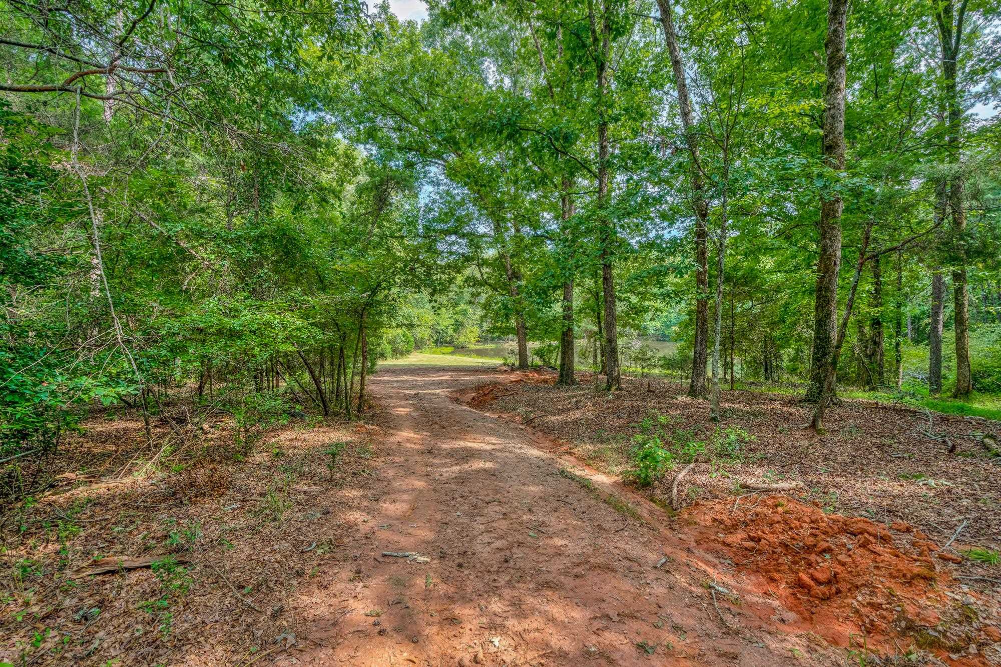 143 George Merck Road, Anderson, South Carolina image 47