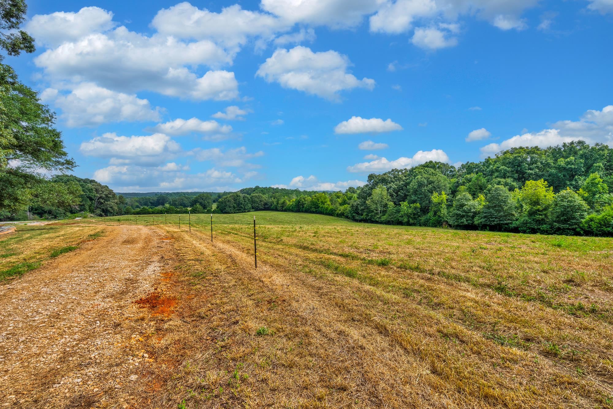 143 George Merck Road, Anderson, South Carolina image 3