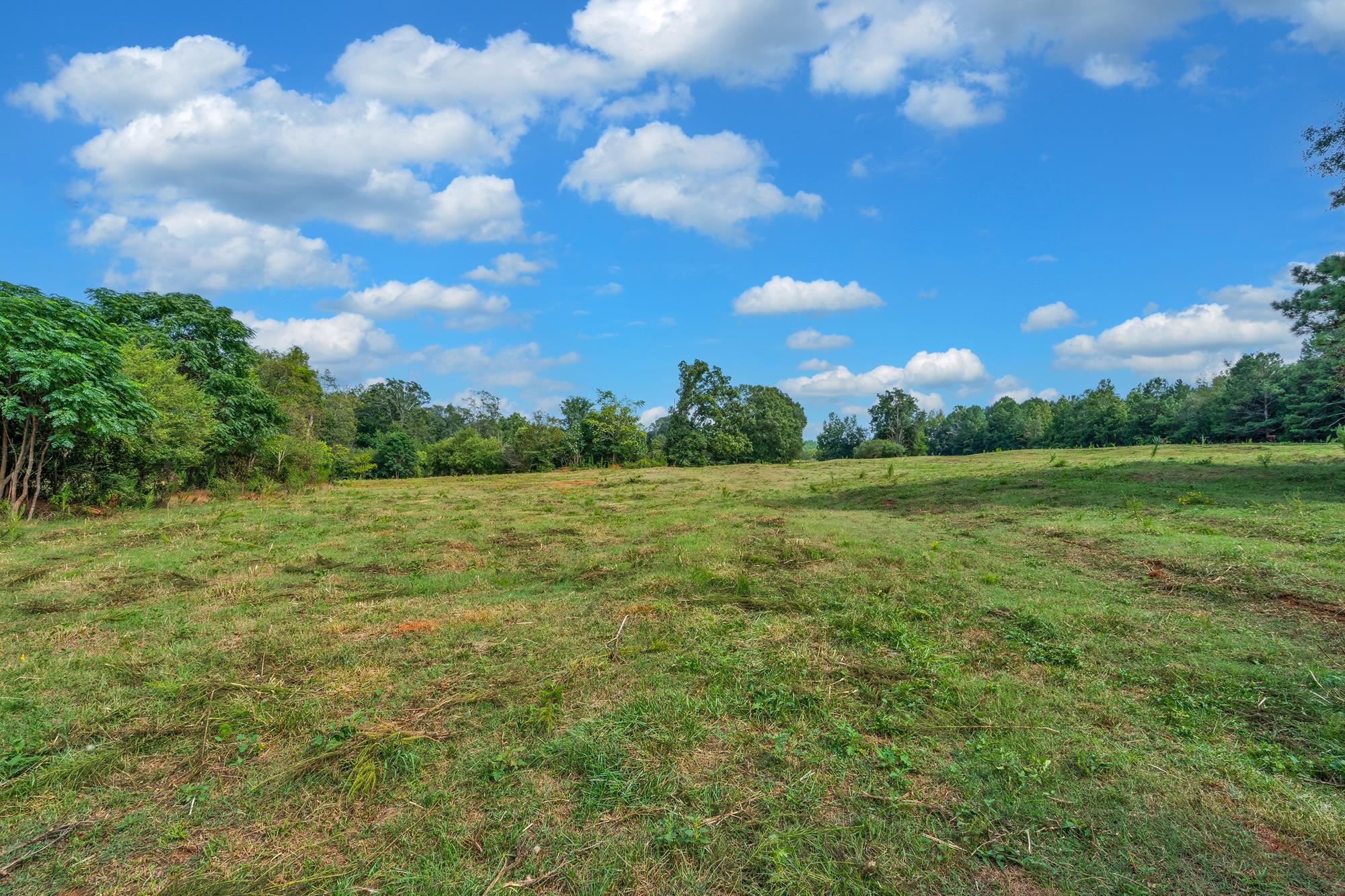 143 George Merck Road, Anderson, South Carolina image 16