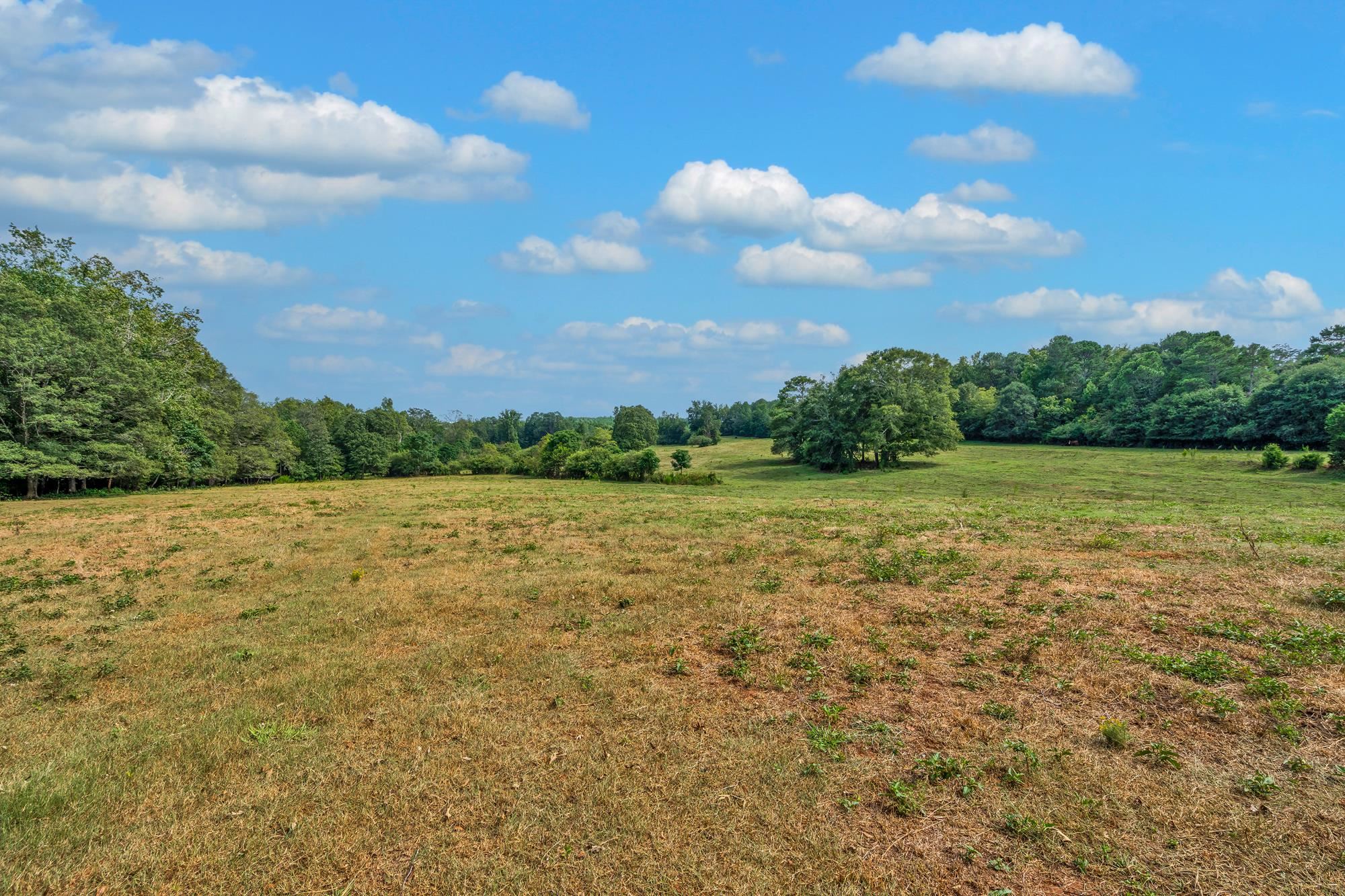 143 George Merck Road, Anderson, South Carolina image 6
