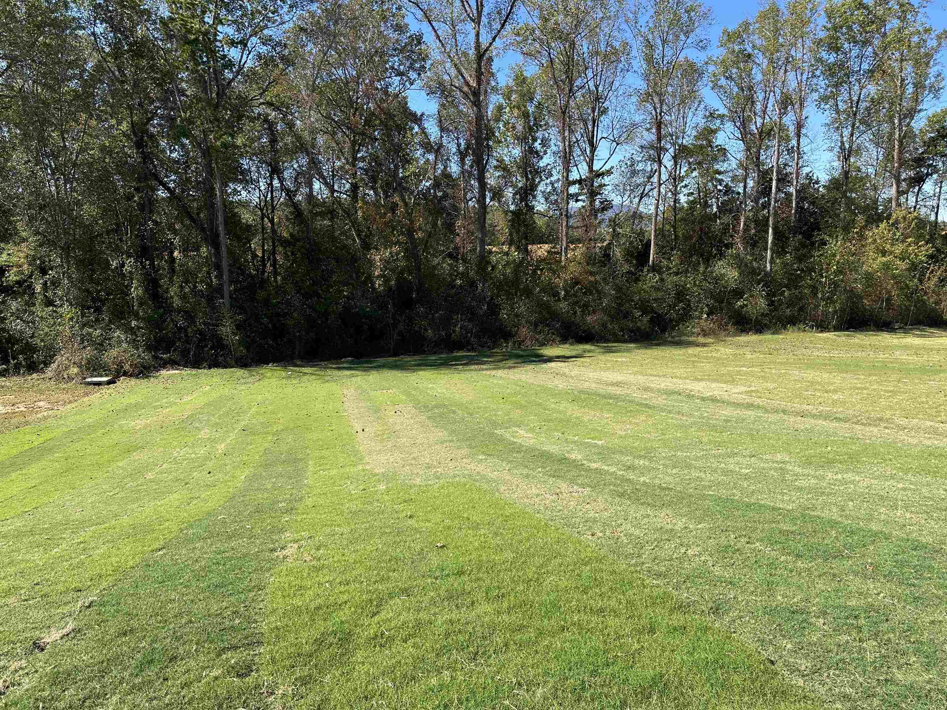 1093 Caldwell Road Road, Campobello, South Carolina image 16