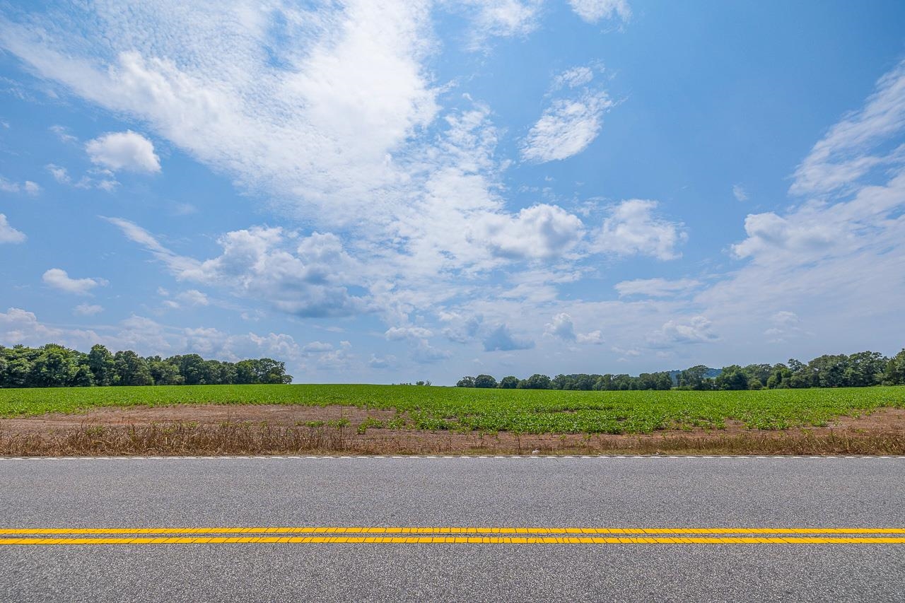 New Cut Road, Inman, South Carolina image 3