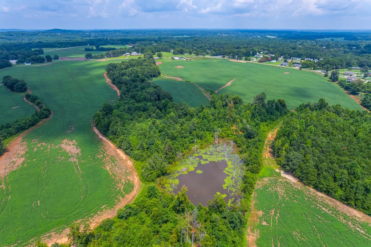 New Cut Road, Inman, South Carolina image 13