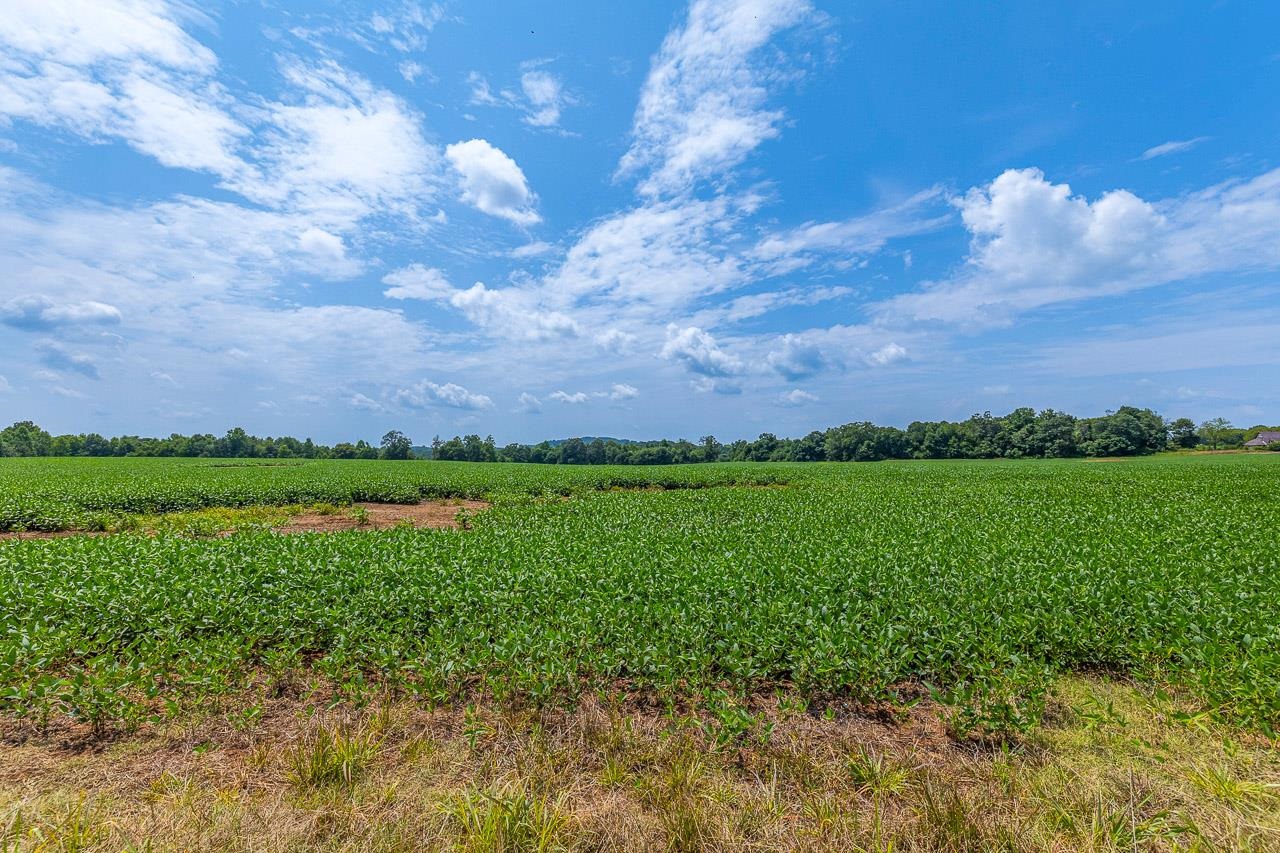 New Cut Road, Inman, South Carolina image 7