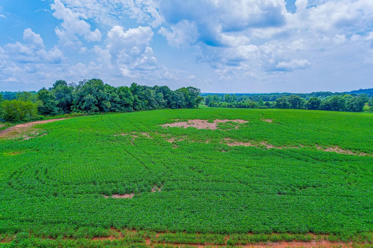New Cut Road, Inman, South Carolina image 26
