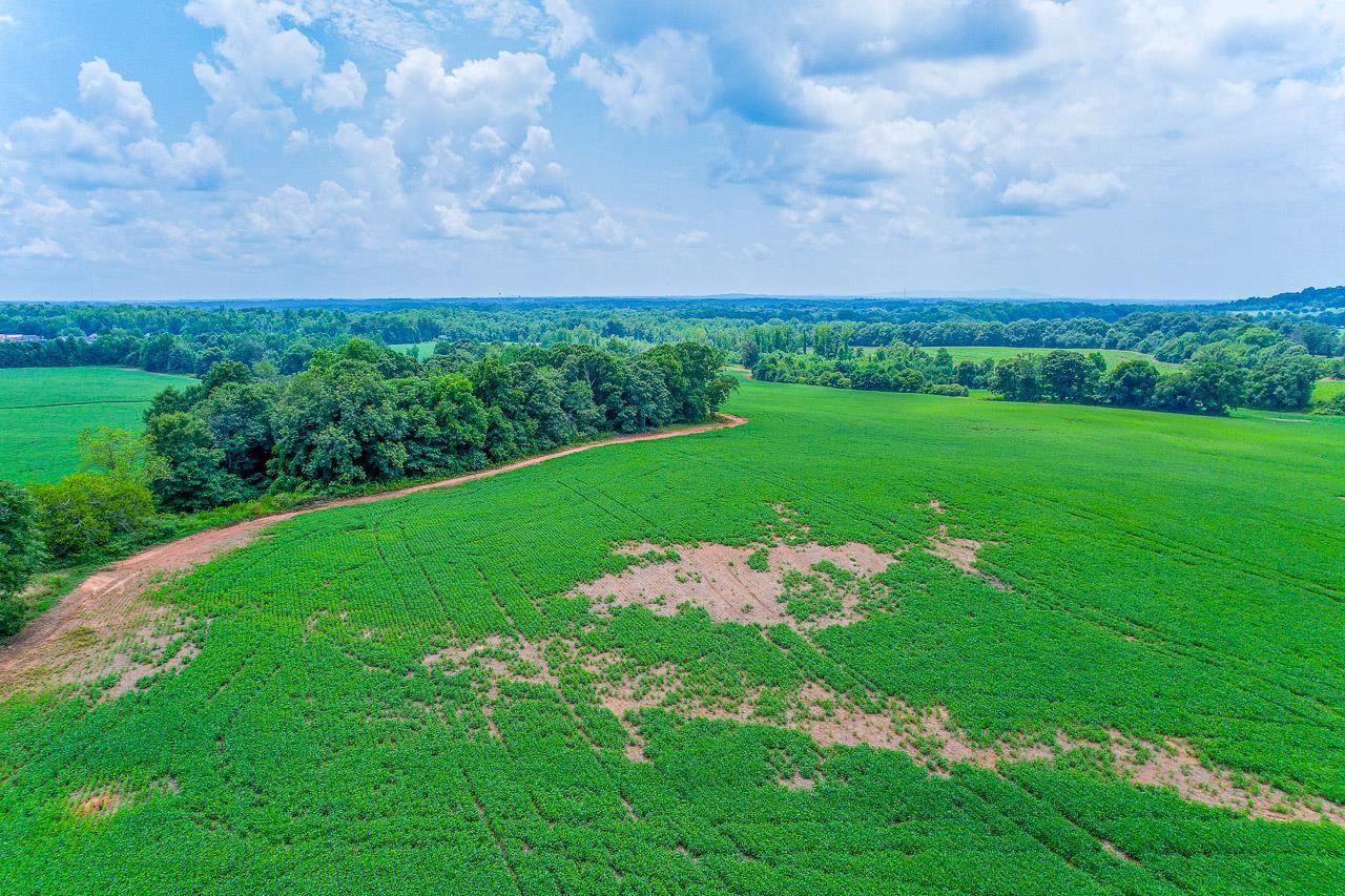New Cut Road, Inman, South Carolina image 27