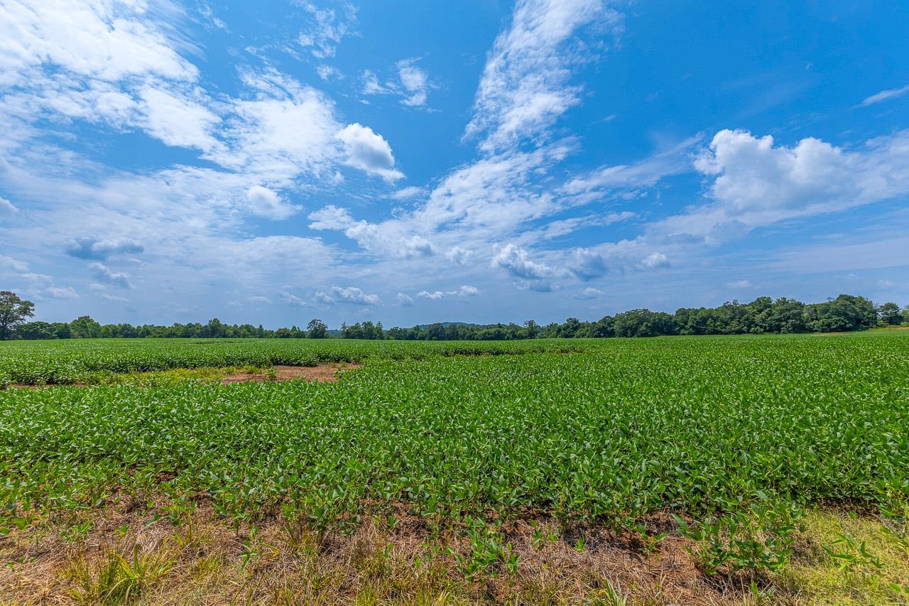 New Cut Road, Inman, South Carolina image 8