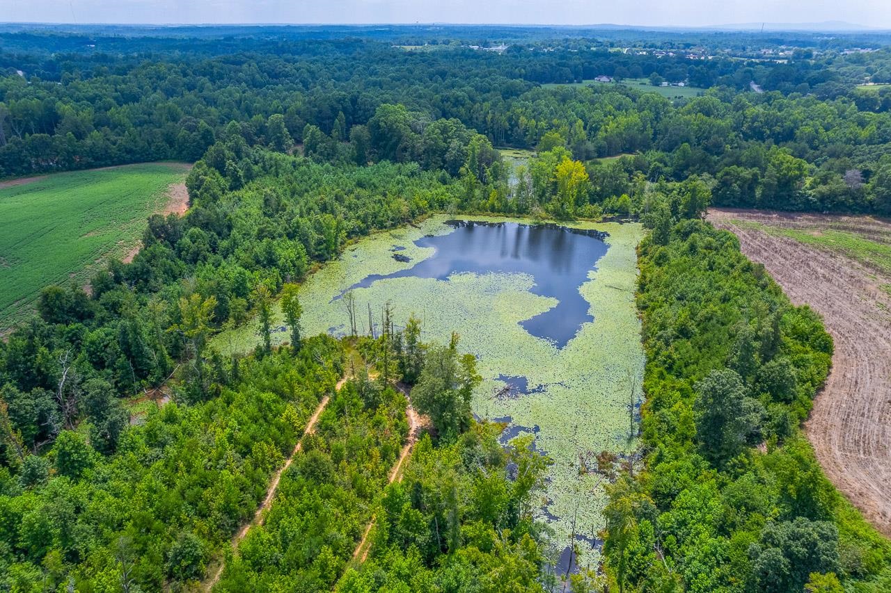 New Cut Road, Inman, South Carolina image 12