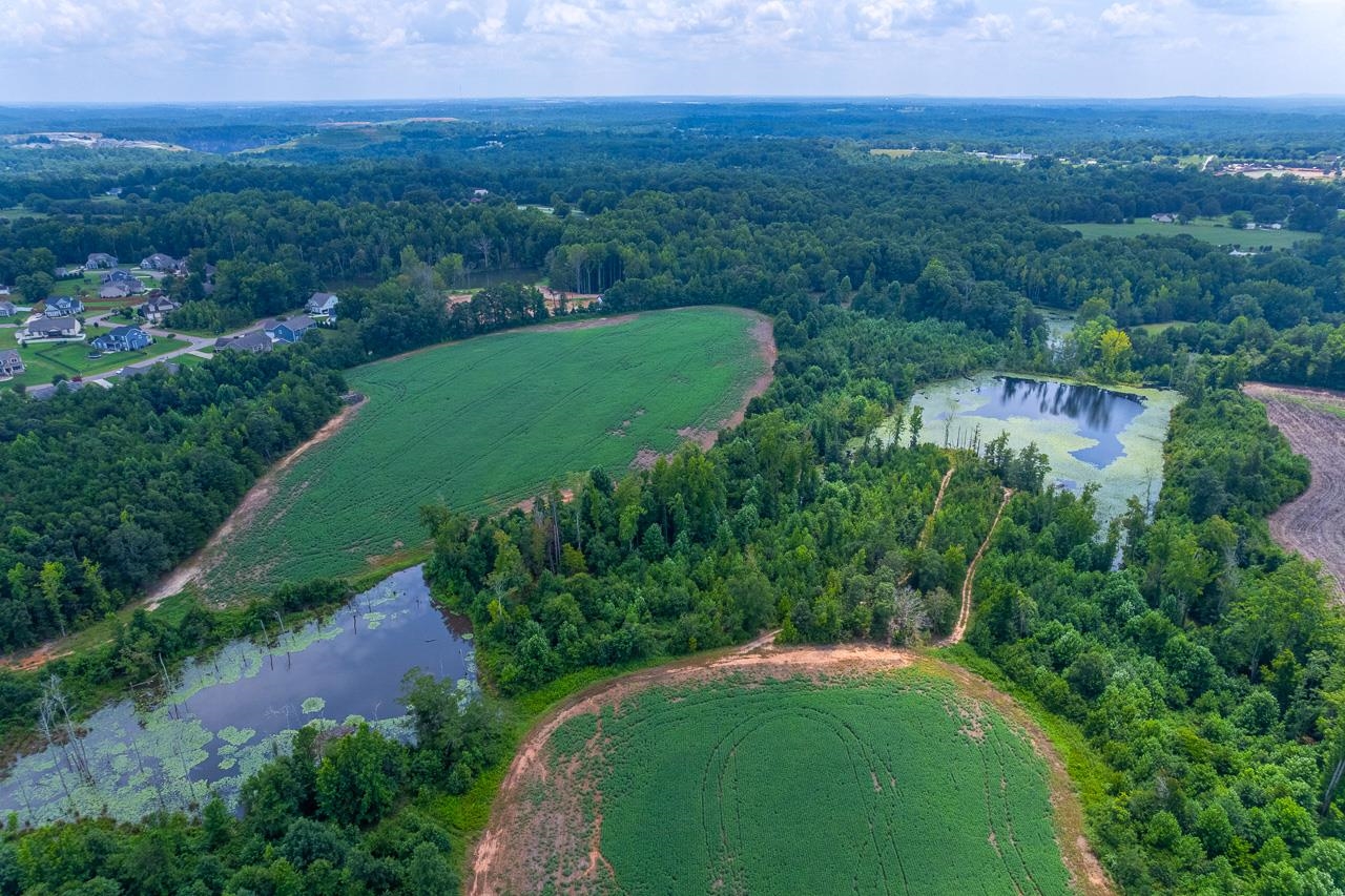 New Cut Road, Inman, South Carolina image 11