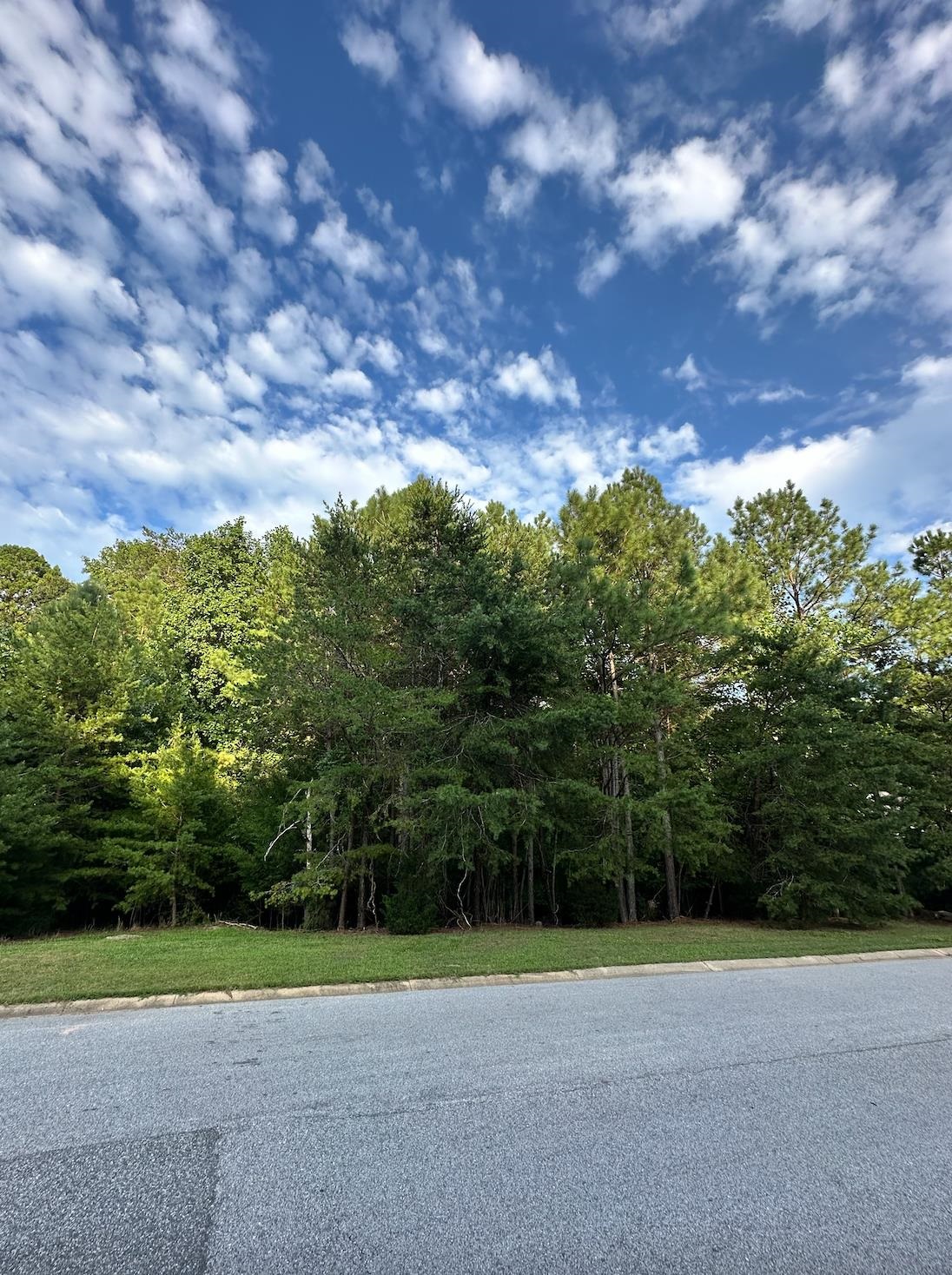 331 Hidden Creek Circle, Spartanburg, South Carolina image 6