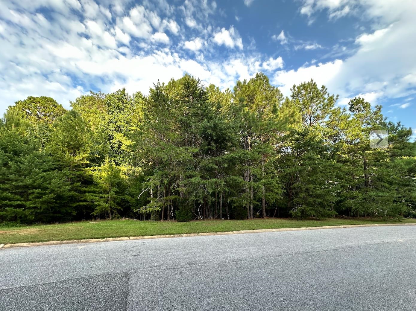 331 Hidden Creek Circle, Spartanburg, South Carolina image 5