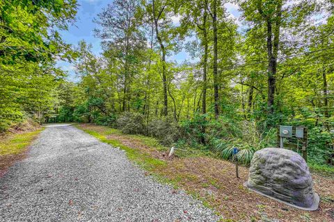 A home in Landrum