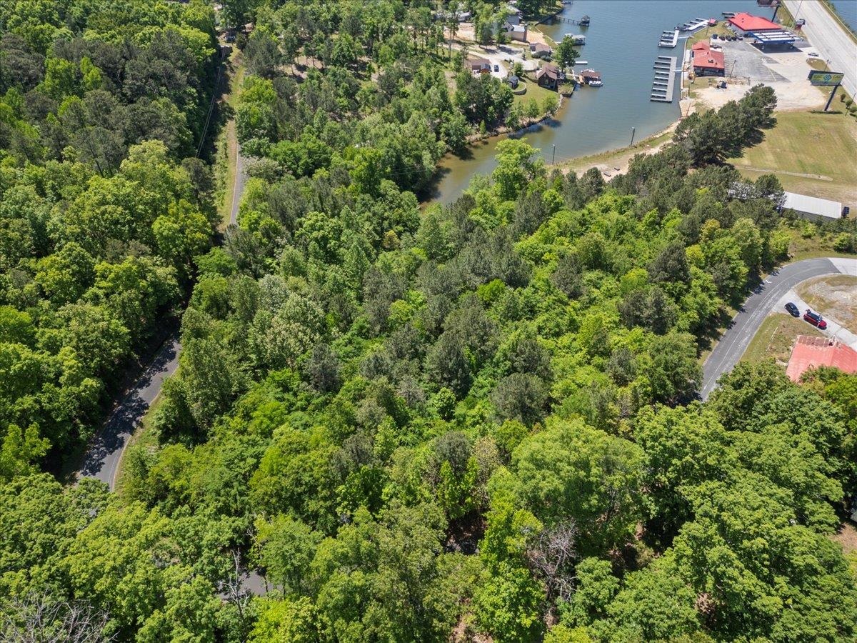 00 Lake Forest Drive, Waterloo, South Carolina image 10