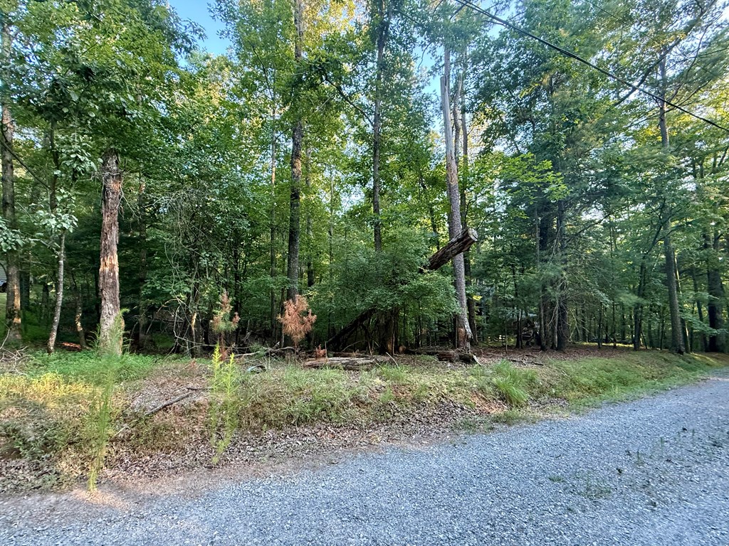 Lot 528 Pinecrest Court