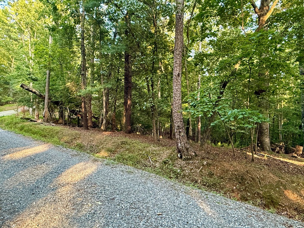 Lot 528 Pinecrest Court