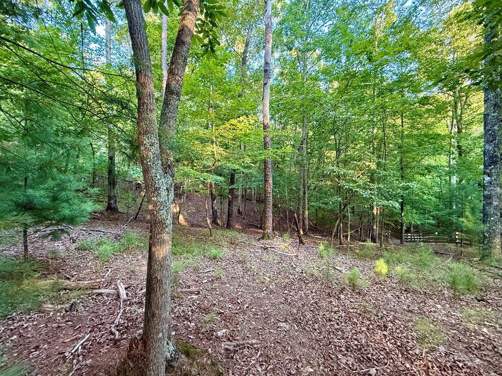 Lot 528 Pinecrest Court