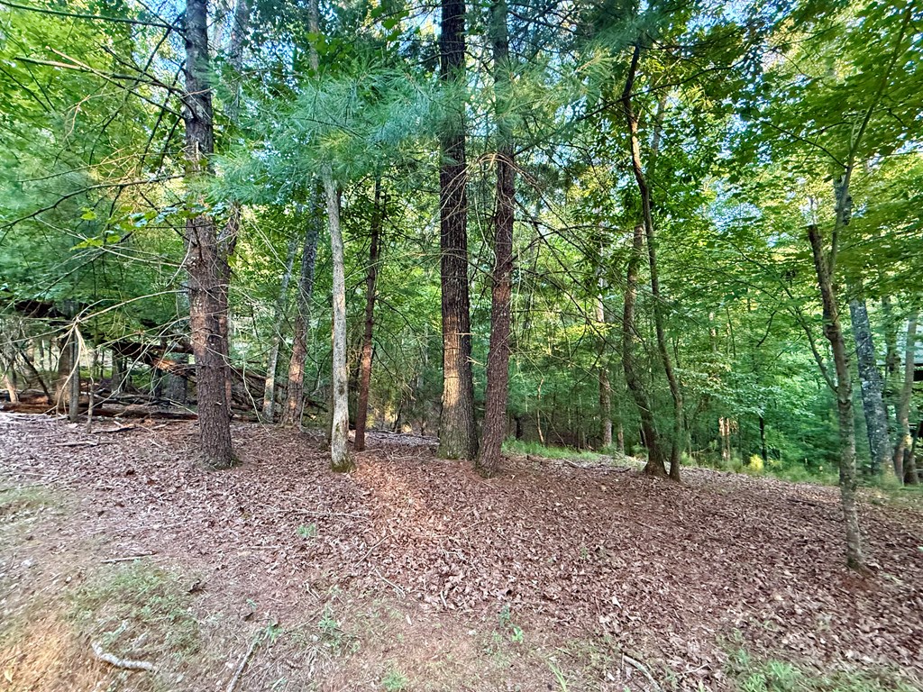 Lot 528 Pinecrest Court