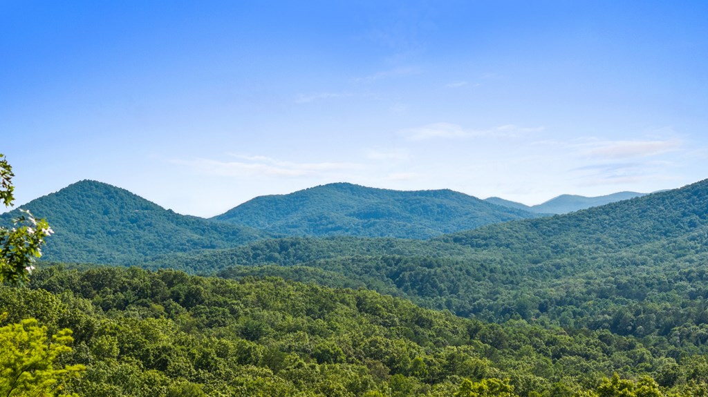 134 Cohutta Overlook Trail