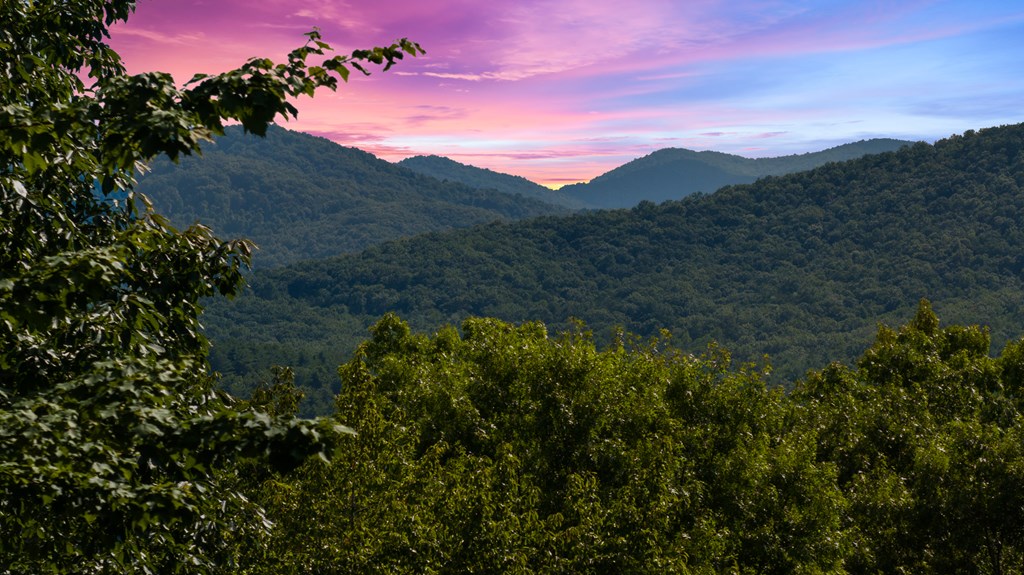 134 Cohutta Overlook Trail