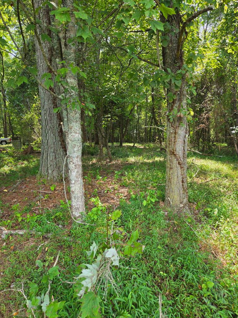 Lot 1 Thurman Street
