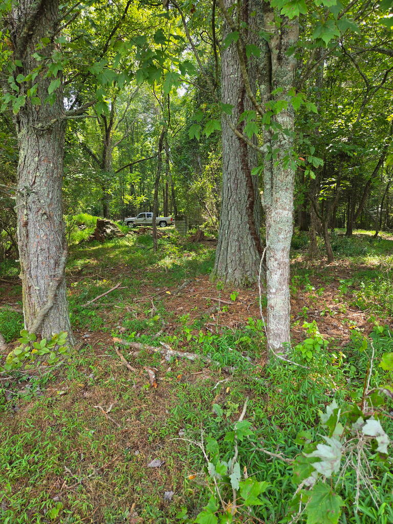 Lot 1 Thurman Street