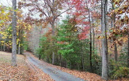 LT 10 Amy Lynn Drive Blairsville GA 30512