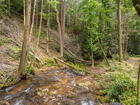 A home in Ellijay