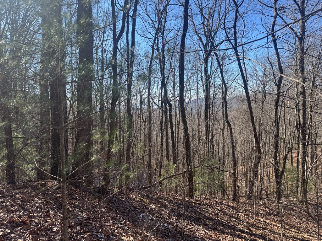 17 Oak Ridge Estates