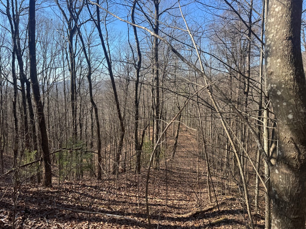 17 Oak Ridge Estates