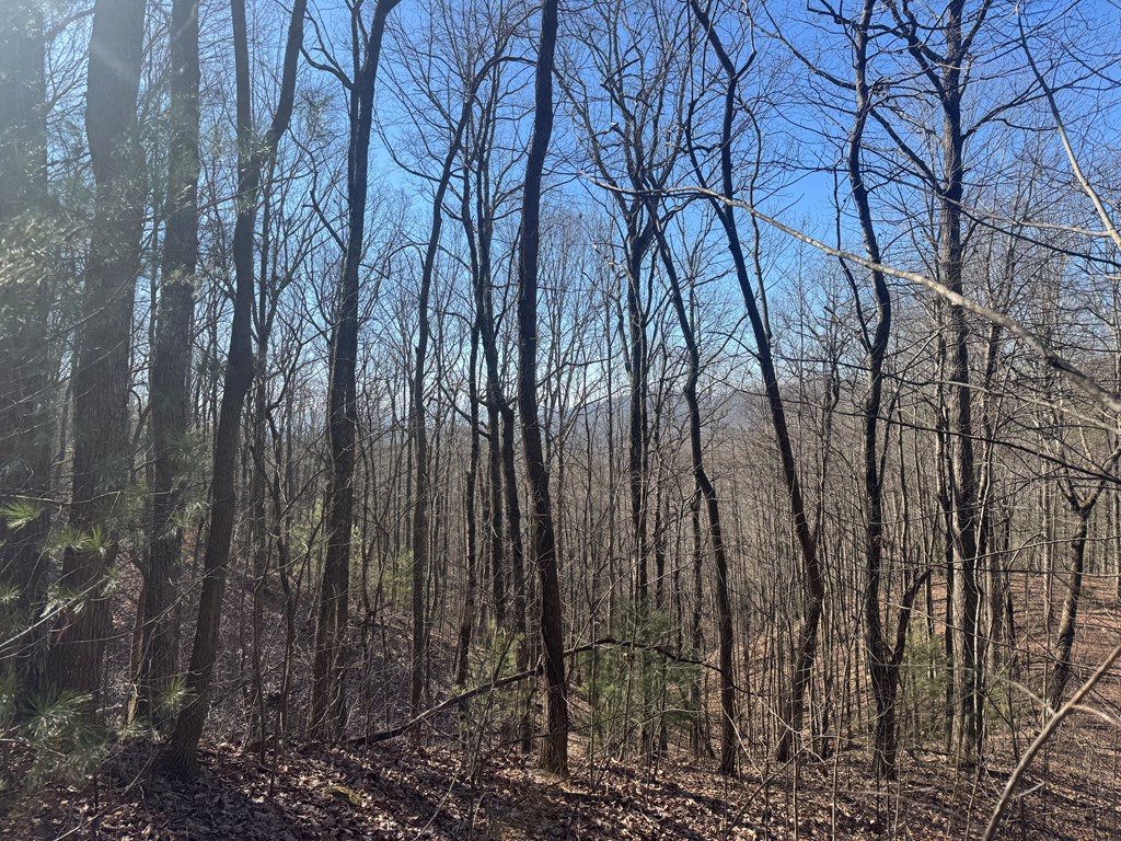 17 Oak Ridge Estates