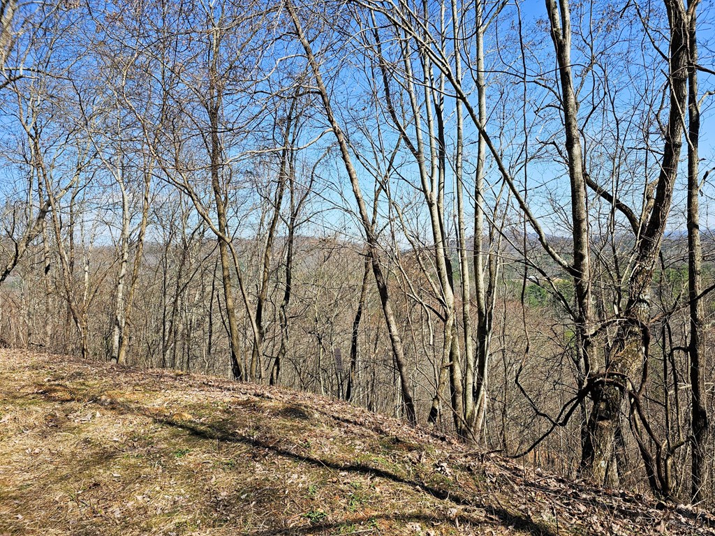 Lot 39 Merlin Trail/Warbler Road