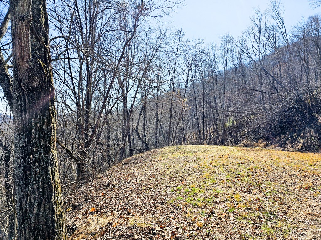 Lot 39 Merlin Trail/Warbler Road