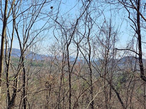 Lot 39 Merlin Trail/Warbler Road Murphy NC 28906